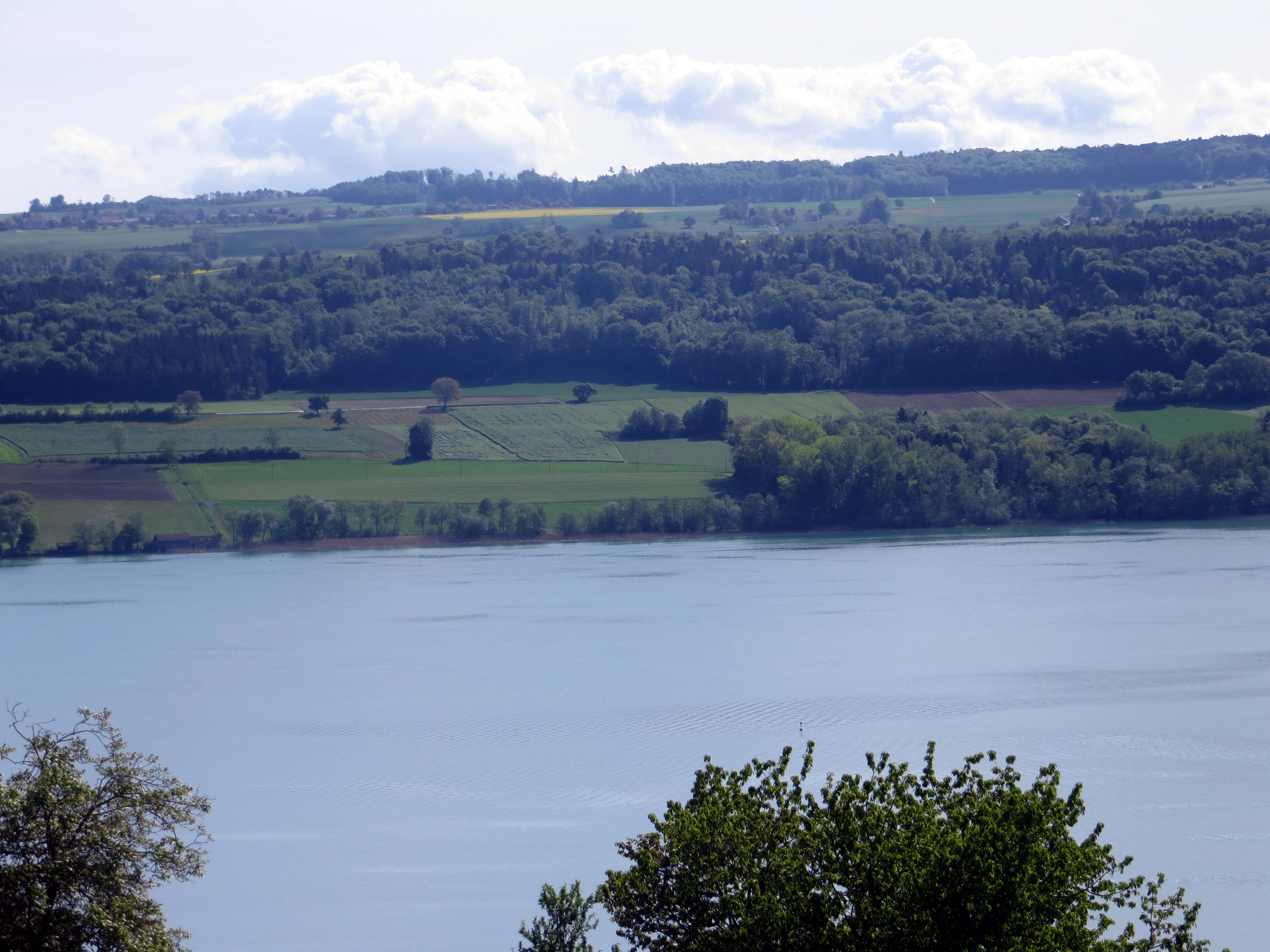 Hallwilersee.jpg