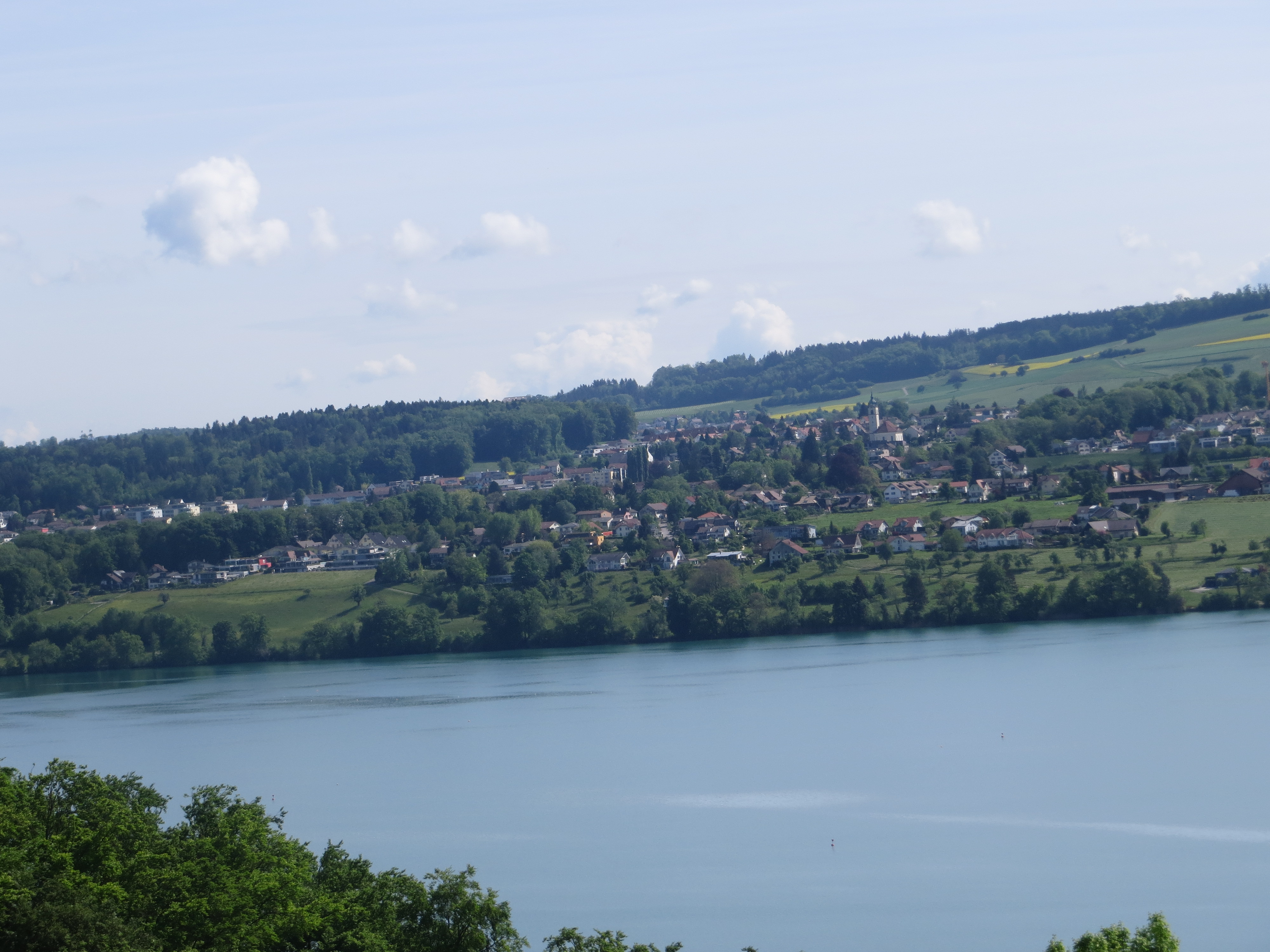 hallwilersee-008.jpg